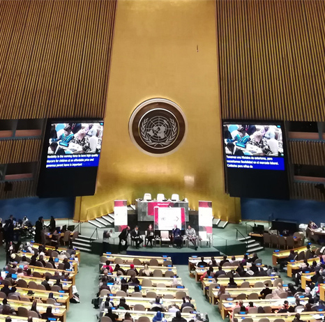 ORGANISMOS OFICIALES1 Sede de la ONU