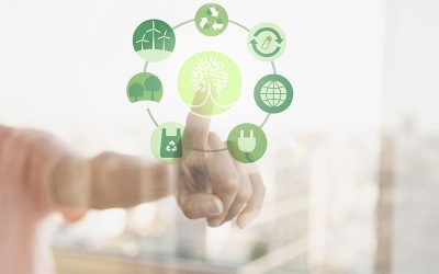 Net Zero … El cambio hacia la sostenibilidad en modelos económicos y sociales está ya a la vuelta de la esquina