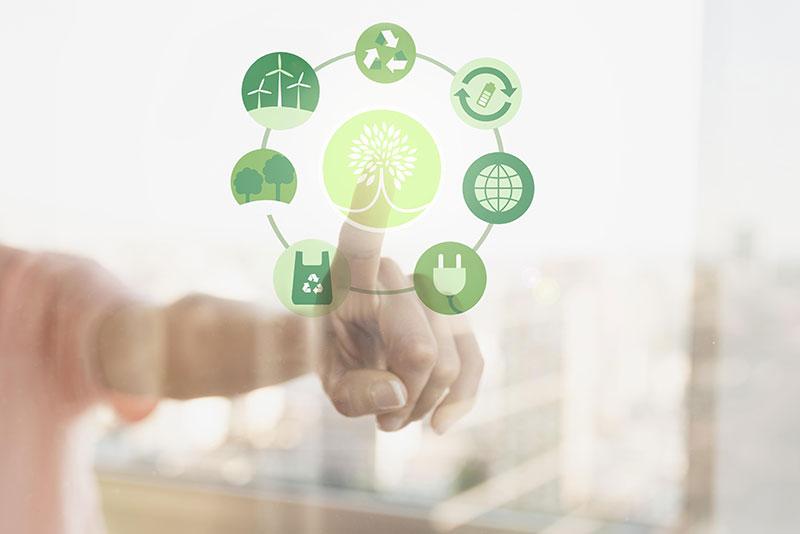 Cambio-climático-y-sostenibilidad Net Zero Cambio-climático-y-sostenibilidad
